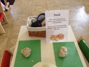 IMG_0051