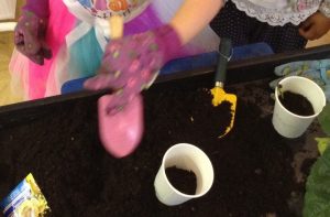 IMG_0279