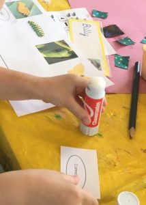 IMG_6267