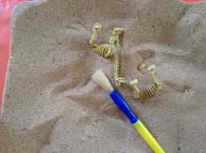 IMG_0061
